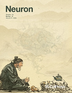 Cellular and circuit architecture of the lateral septum for reward processing. Neuron