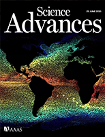 RCA-RUNX1-mediated alphaherpesvirus-host trans-species chromatin interaction promotes viral transcription