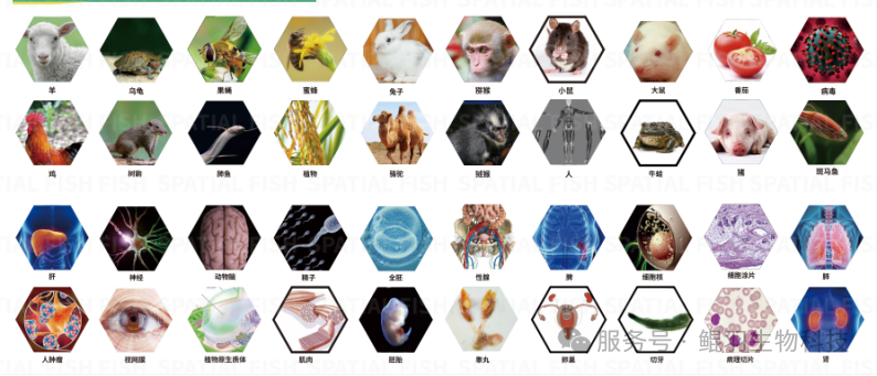 a315d1c02e731d38a50bedf218e97526.png