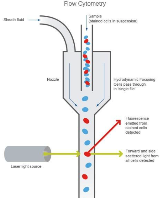 1773646120469025.png 图片1.png