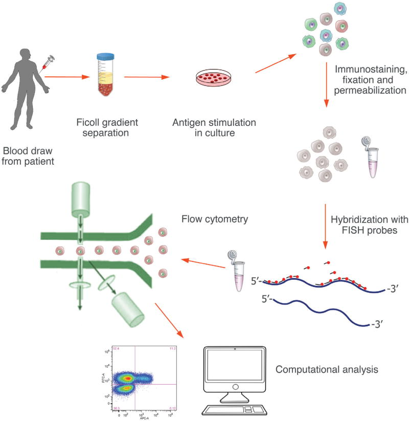 1773646131747636.png 图片2.png