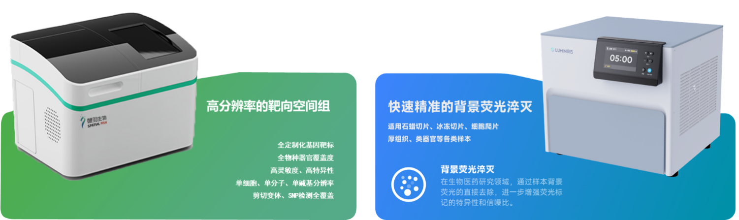 1781519273528052.png 图片1.png