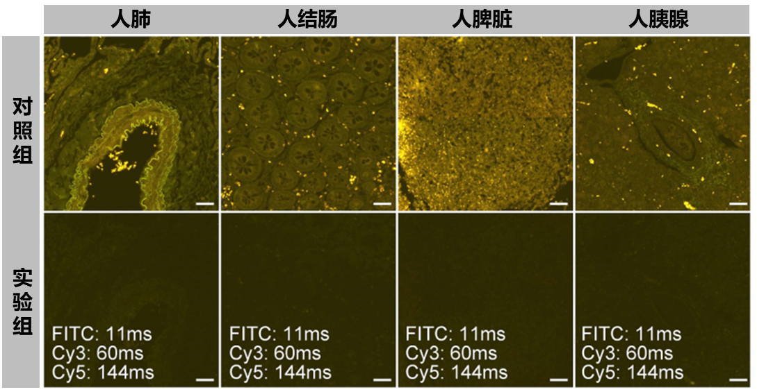 1781519289173769.png 图片3.png