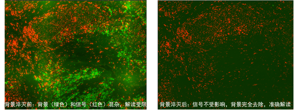 1781519319277434.png 图片5.png